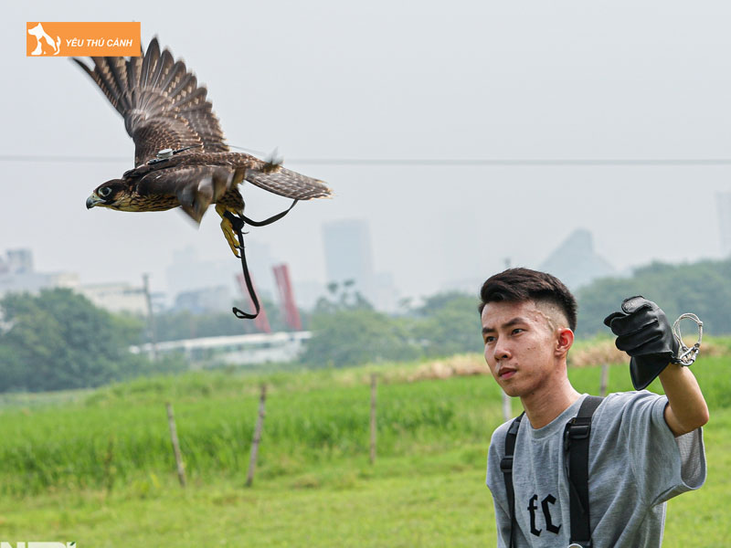 Cach-nuoi-chim-ung-khoe-manh-thucanh