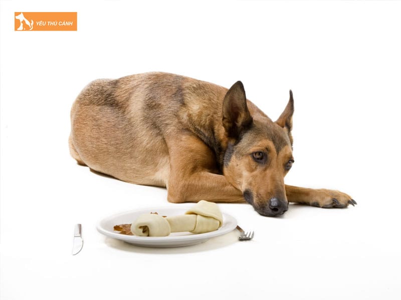 Nhung-nguyen-nhan-cho-benh-bo-an-la-gi-thucanh