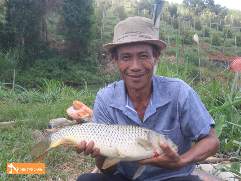 Cach-nuoi-ca-tram-gion-2-thucanh