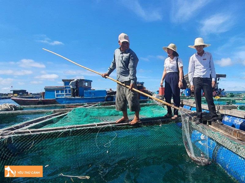 Cach-nuoi-ca-be-vau-hieu-qua-2-thucanh