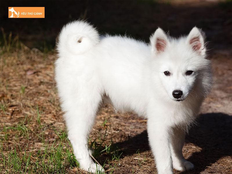 Dac-diem-cua-cho-nhat-duoi-cuon-thucanh