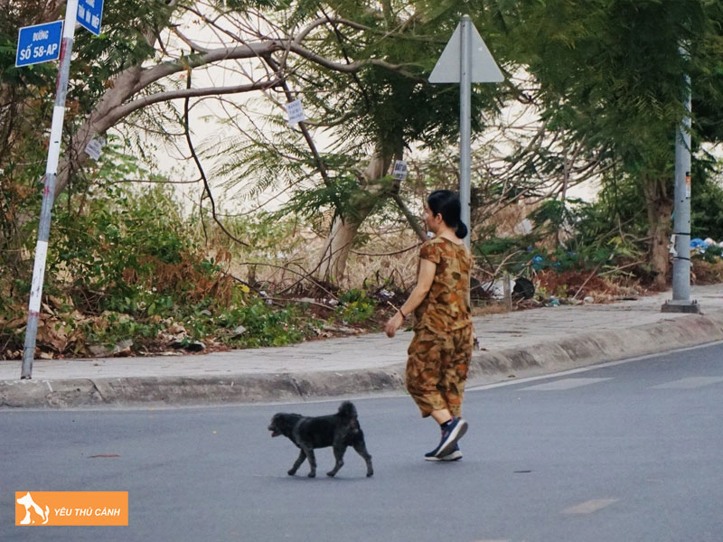 Giai-phap-han-che-tinh-trang-cho-xong-chuong-thucanh