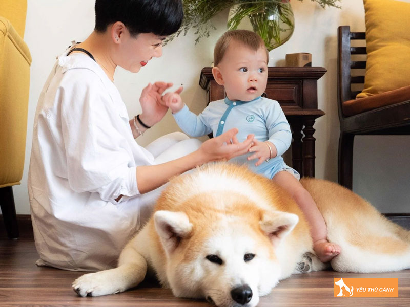 Phong-ngua-cho-di-tieu-ra-mau-nhu-the-nao-1-thucanh