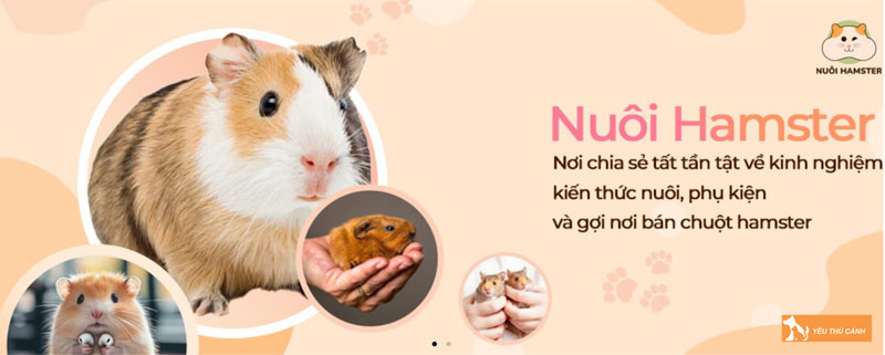 Nuoihamster-chia-se-cach-nuoi-va-cham-soc-chuot-hamster-de-chung-luon-vui-ve-3-thucanh