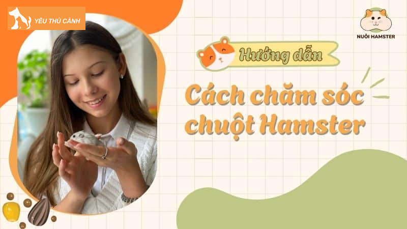 Nuoihamster-chia-se-cach-nuoi-va-cham-soc-chuot-hamster-de-chung-luon-vui-ve-thucanh