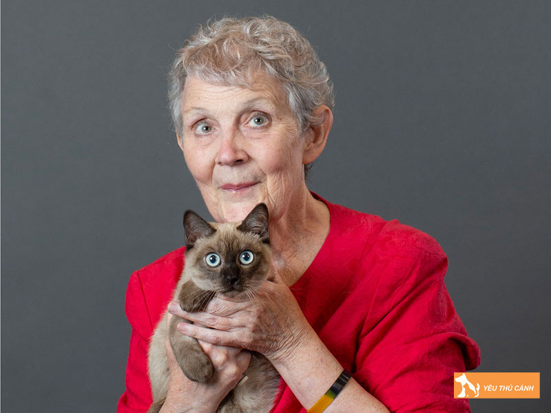 Gia-meo-toybob-hien-nay-va-do-hiem-tren-thi-truong-thucanh