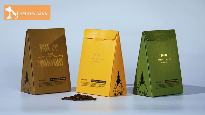 Cong-ty-in-hop-giay-hcm-in-an-khanh-thiet-ke-hop-giay-theo-yeu-cau-5-thucanh