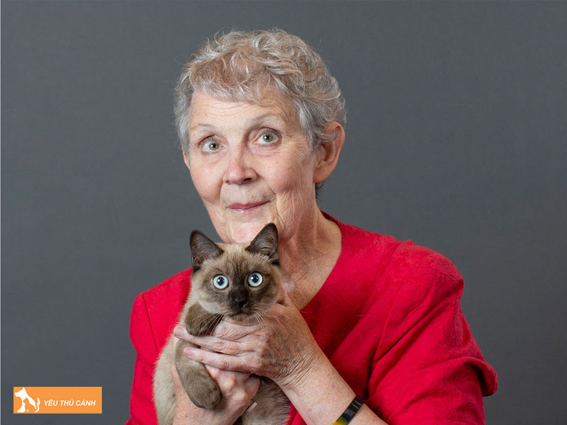 Chuan-bi-moi-truong-song-phu-hop-khi-nuoi-meo-toybob-thucanh