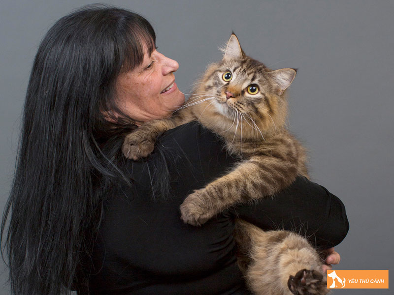 Moi-truong-song-va-cach-cham-soc-meo-american-bobtail-thucanh