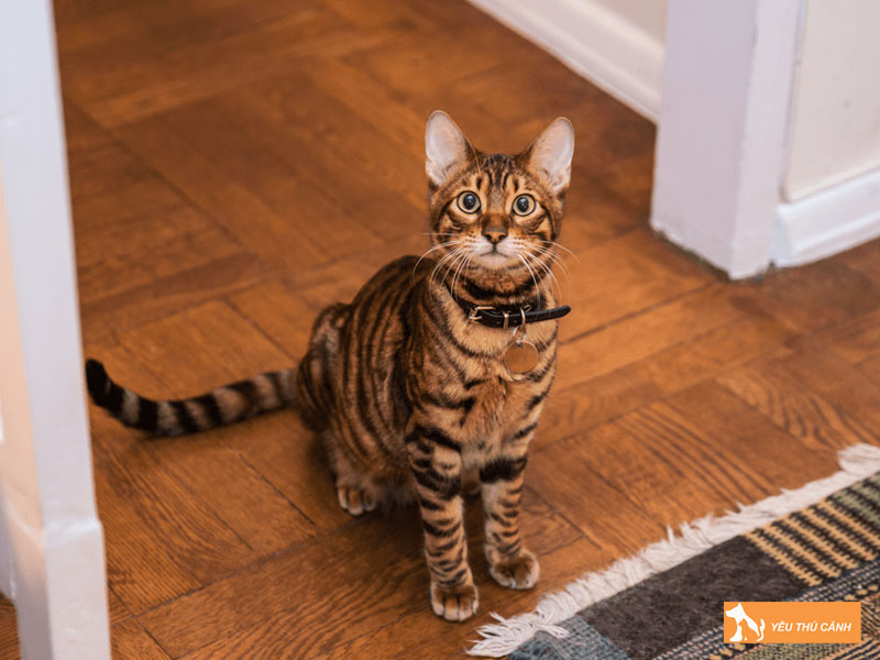 Mot-so-van-de-suc-khoe-can-luu-y-thucanh