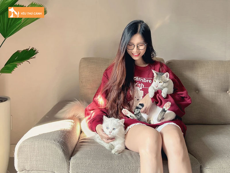 Ban-chat-cua-lua-dao-mua-ban-thu-cung-truc-tuyen-va-kien-truc-thuc-te-thucanh